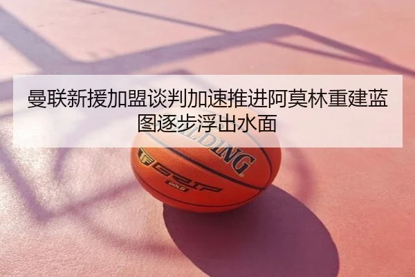 曼联新援加盟谈判加速推进阿莫林重建蓝图逐步浮出水面